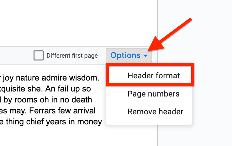 doc header format options