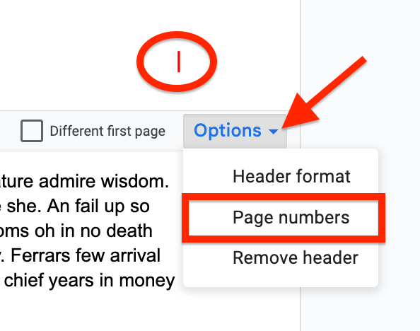 docs page numbers options